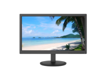 Монитор LCD 20" DAHUA DHI-LM20-A202V
