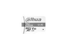 DAHUA DHI-TF-P100/256G