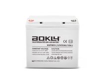 Аккумулятор AOKLY 6-GFM-55 AGM 12V 55Ah