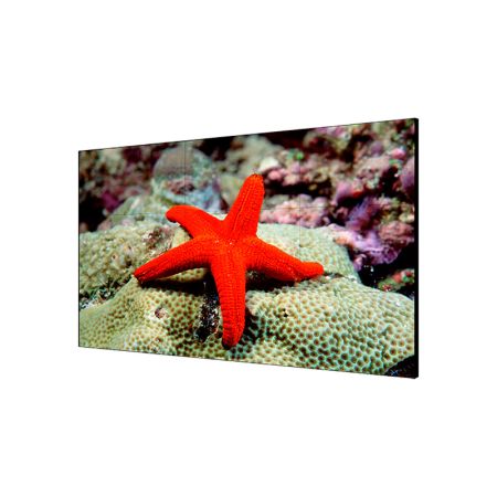 Дисплей для видеостен HIKVISION DS-D2055LE-G