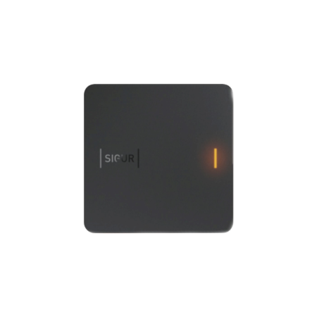 Считыватель Sigur MR100 Lite(MR1)