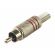 Разъем штекер RCA Rexant металл под винт черный/красный 14-0410 Разъем штекер RCA Rexant металл под винт черный/красный 14-0410
